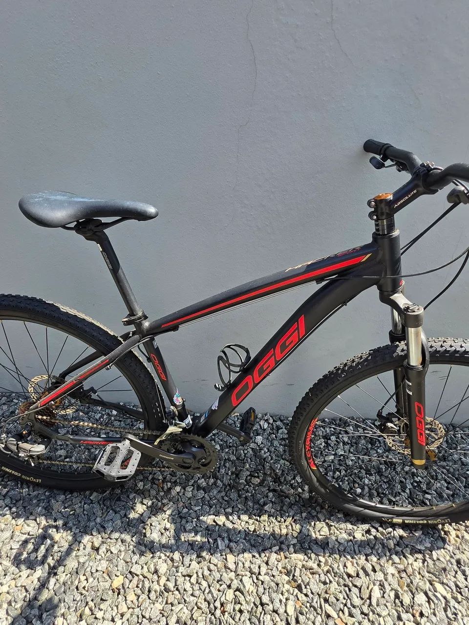 Bike OGGY - Foto 4