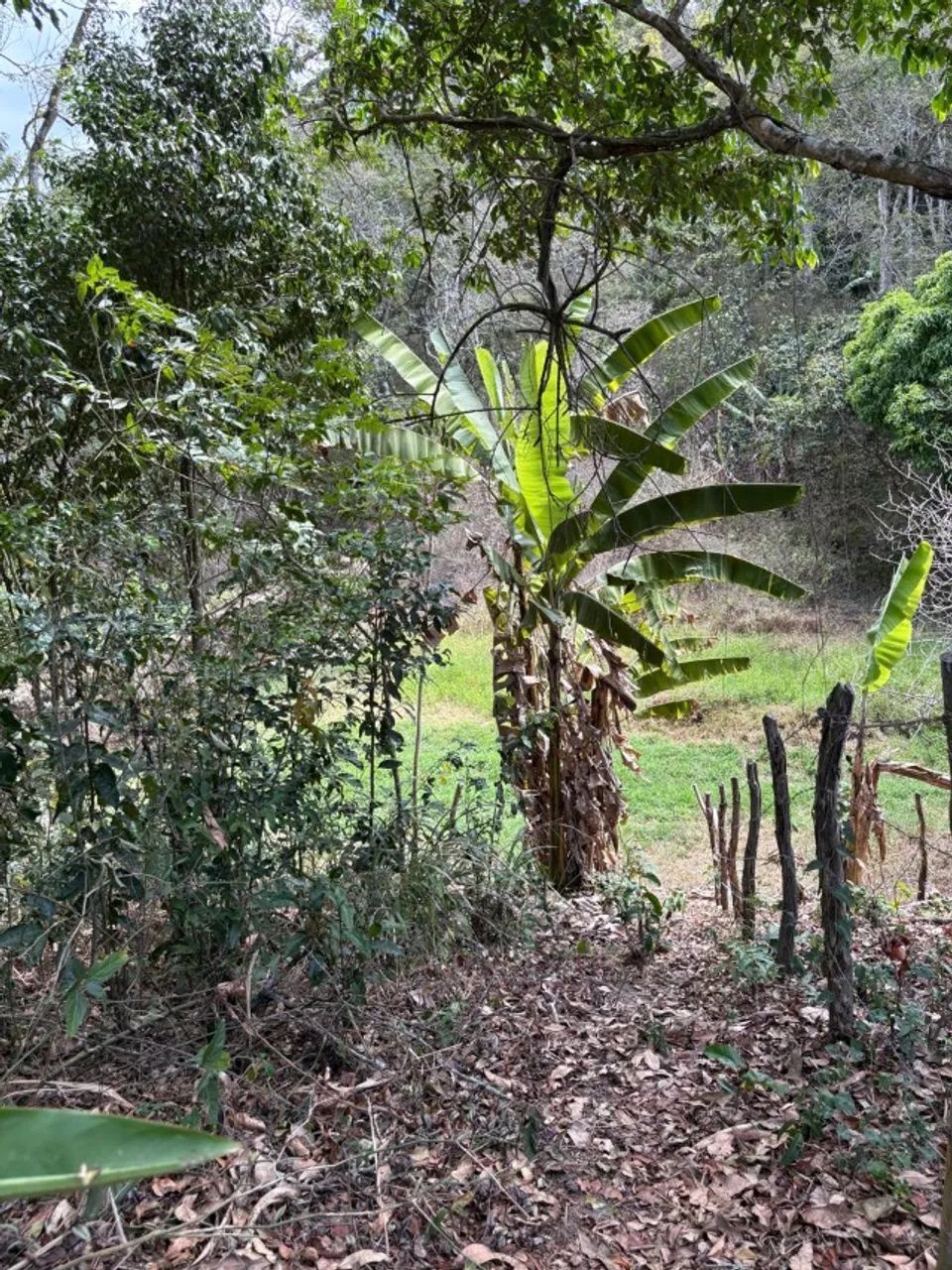 Terreno Bom Retiro 1.512m² - Guaramiranga CE - Foto 2