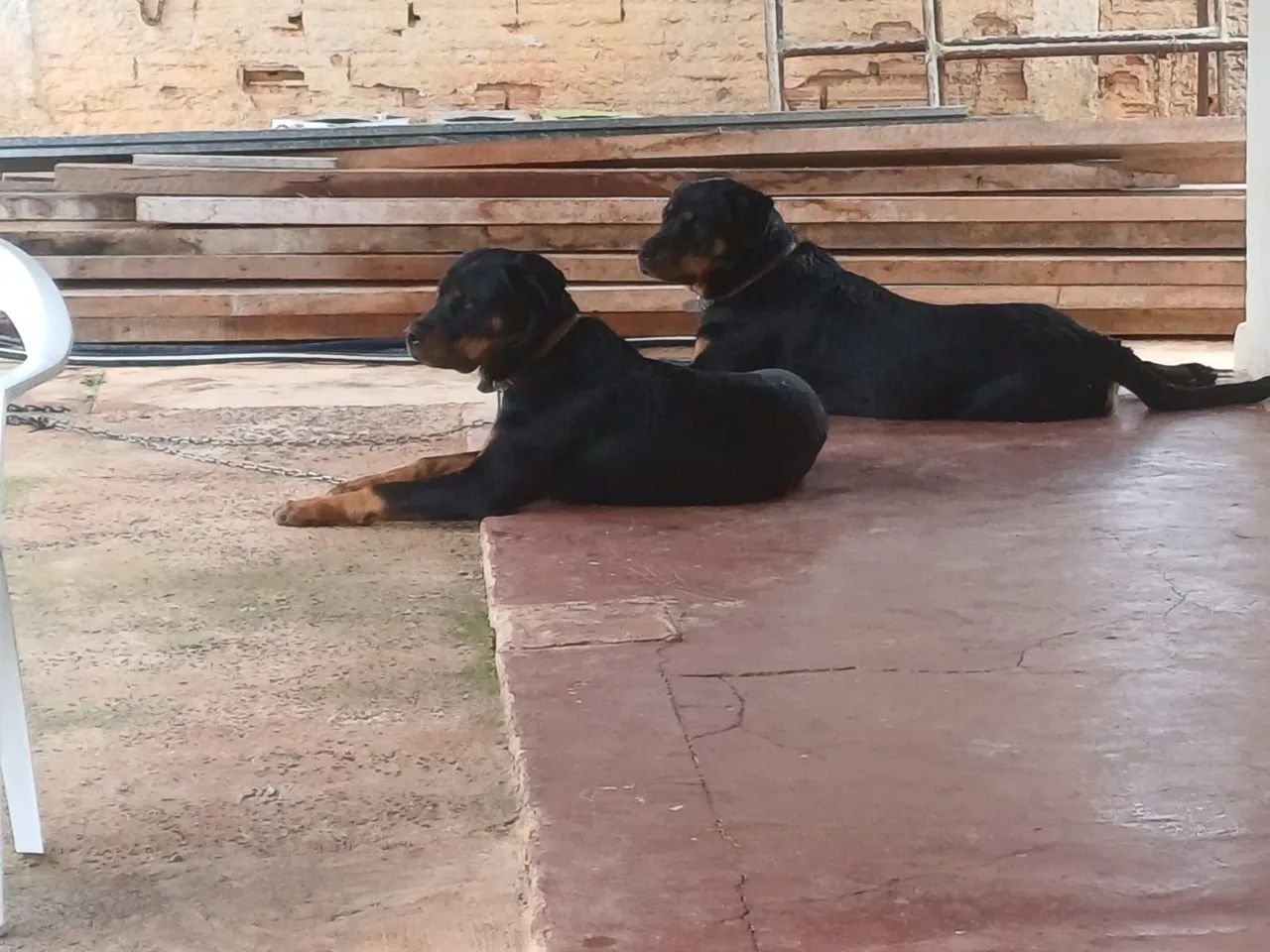 Vendo