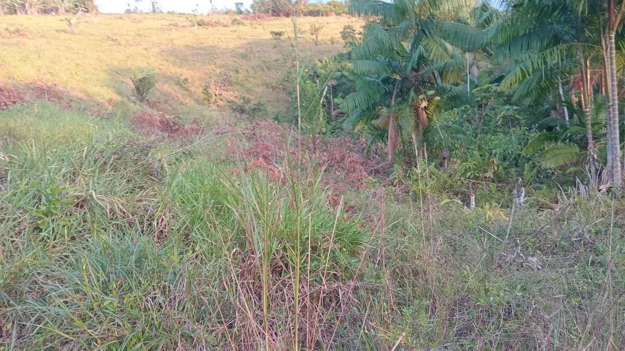 Lote a venda  - Foto 5