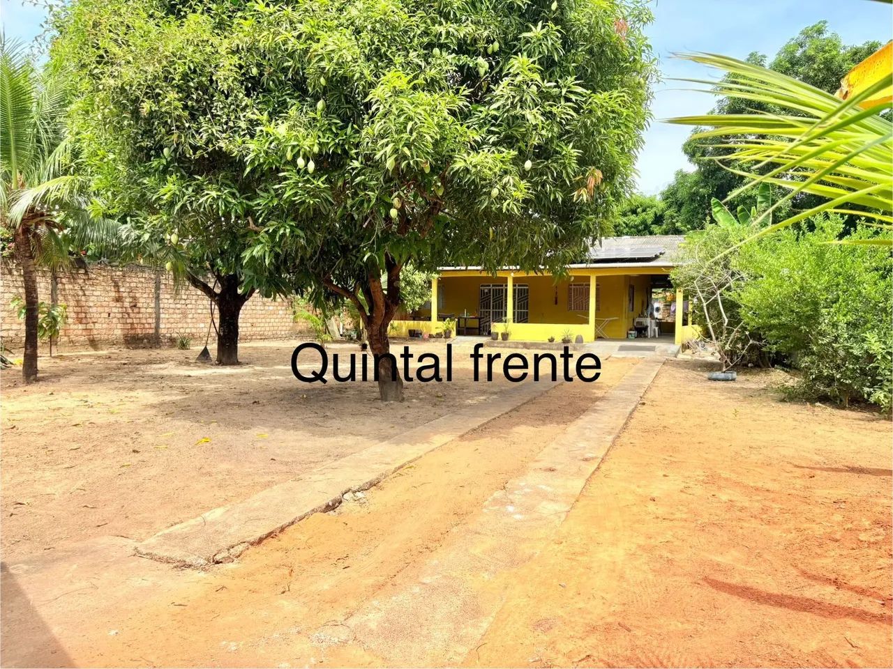 Foto - Boa Vista - Jardim Tropical