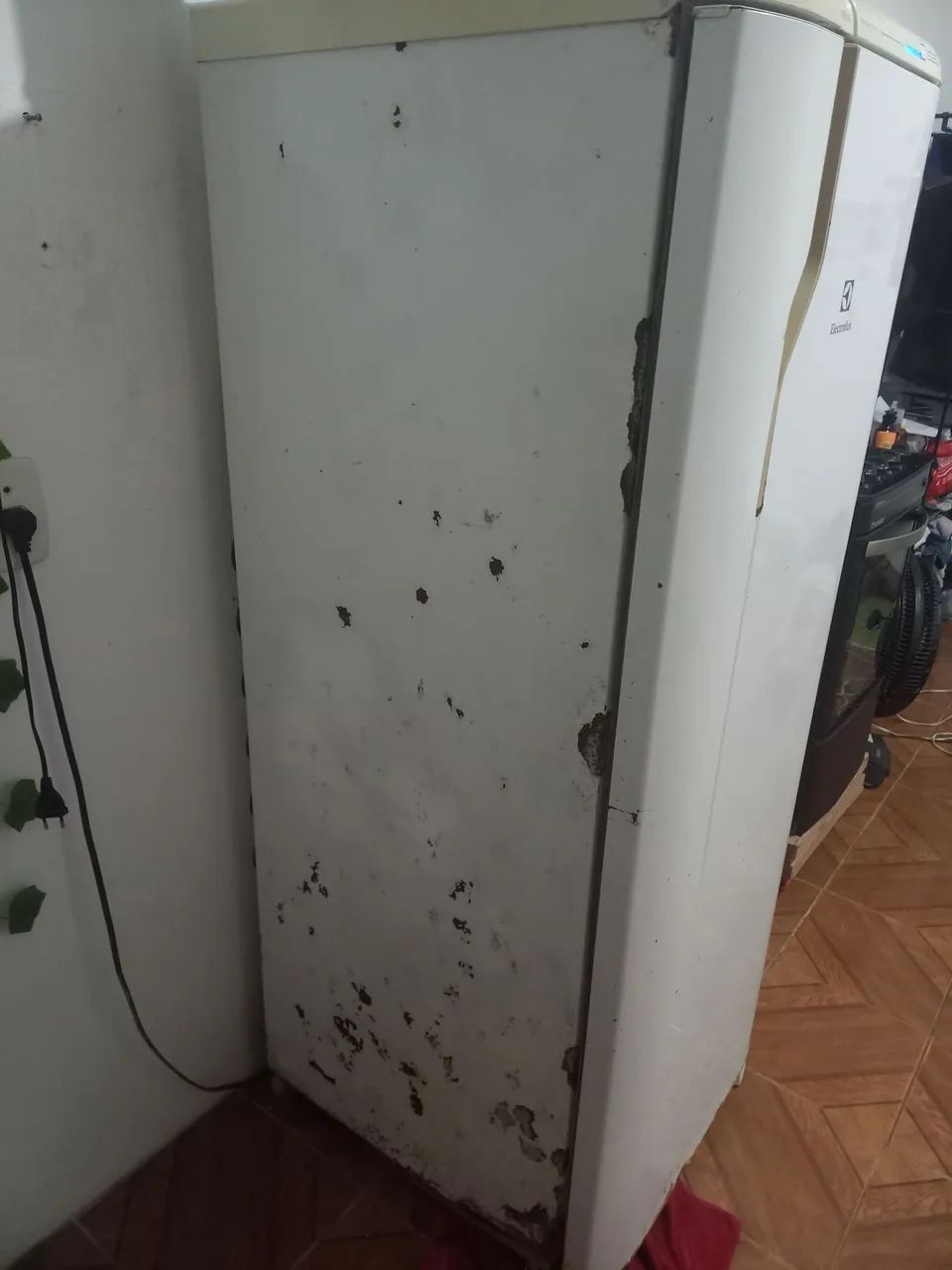 GELADEIRA 250,00 - Foto 3