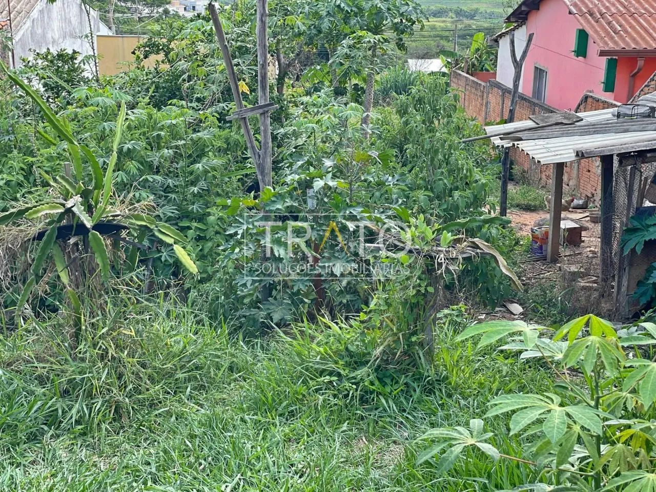 terreno - Jardim Myrian Moreira da Costa - Campinas - Foto 4