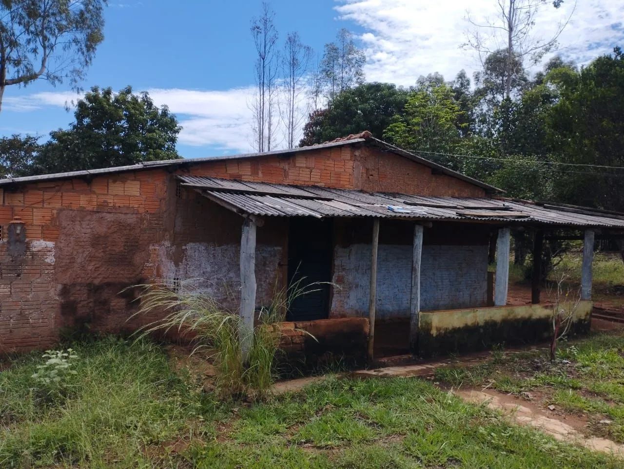 Vendo sitio de 12 hectares e meio - Foto 3