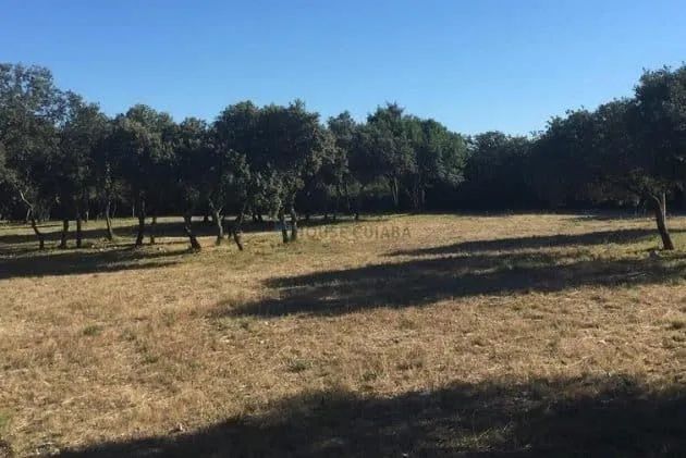 Terreno no Boa Esperança - Foto 5