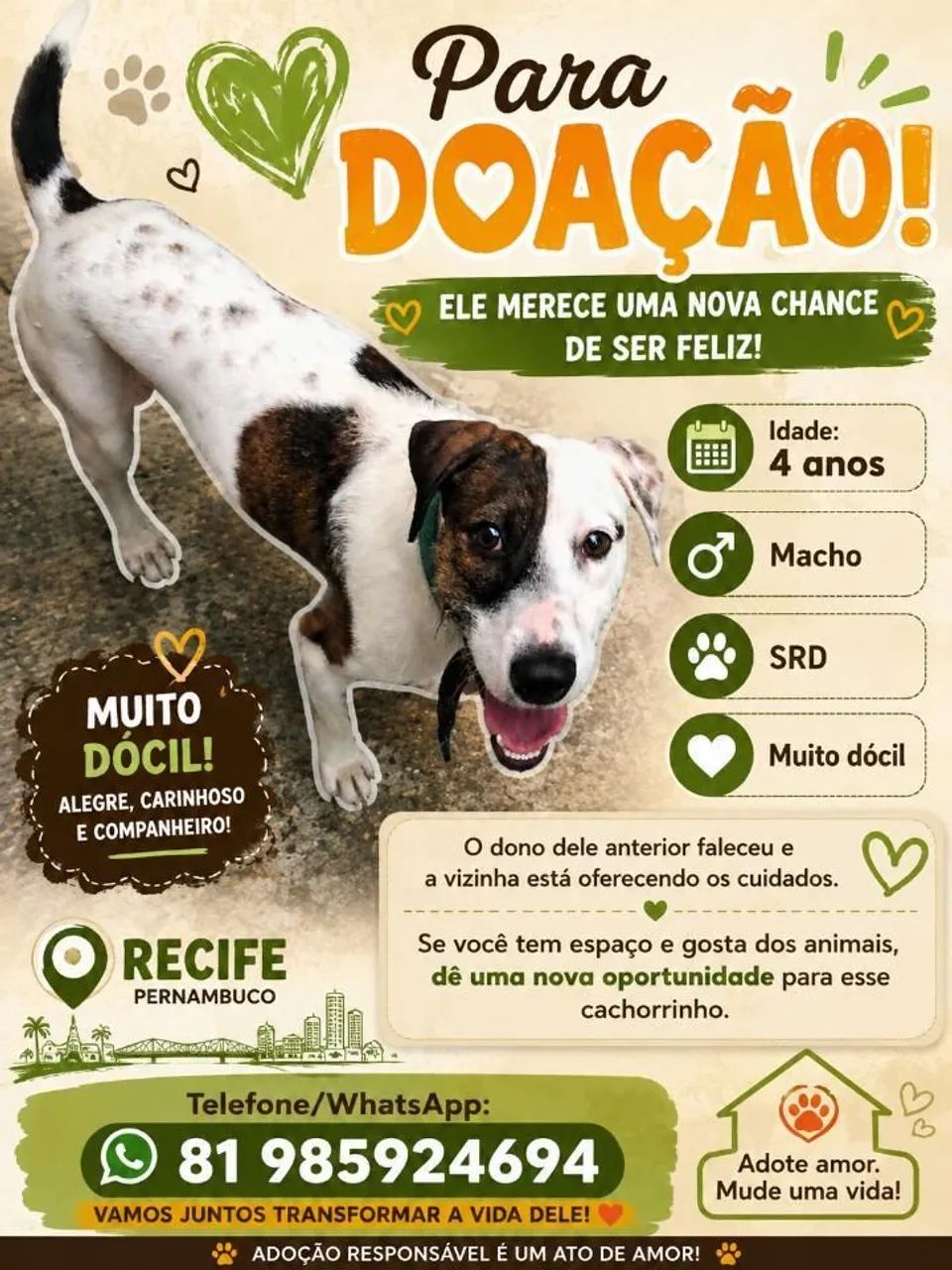 Doação 