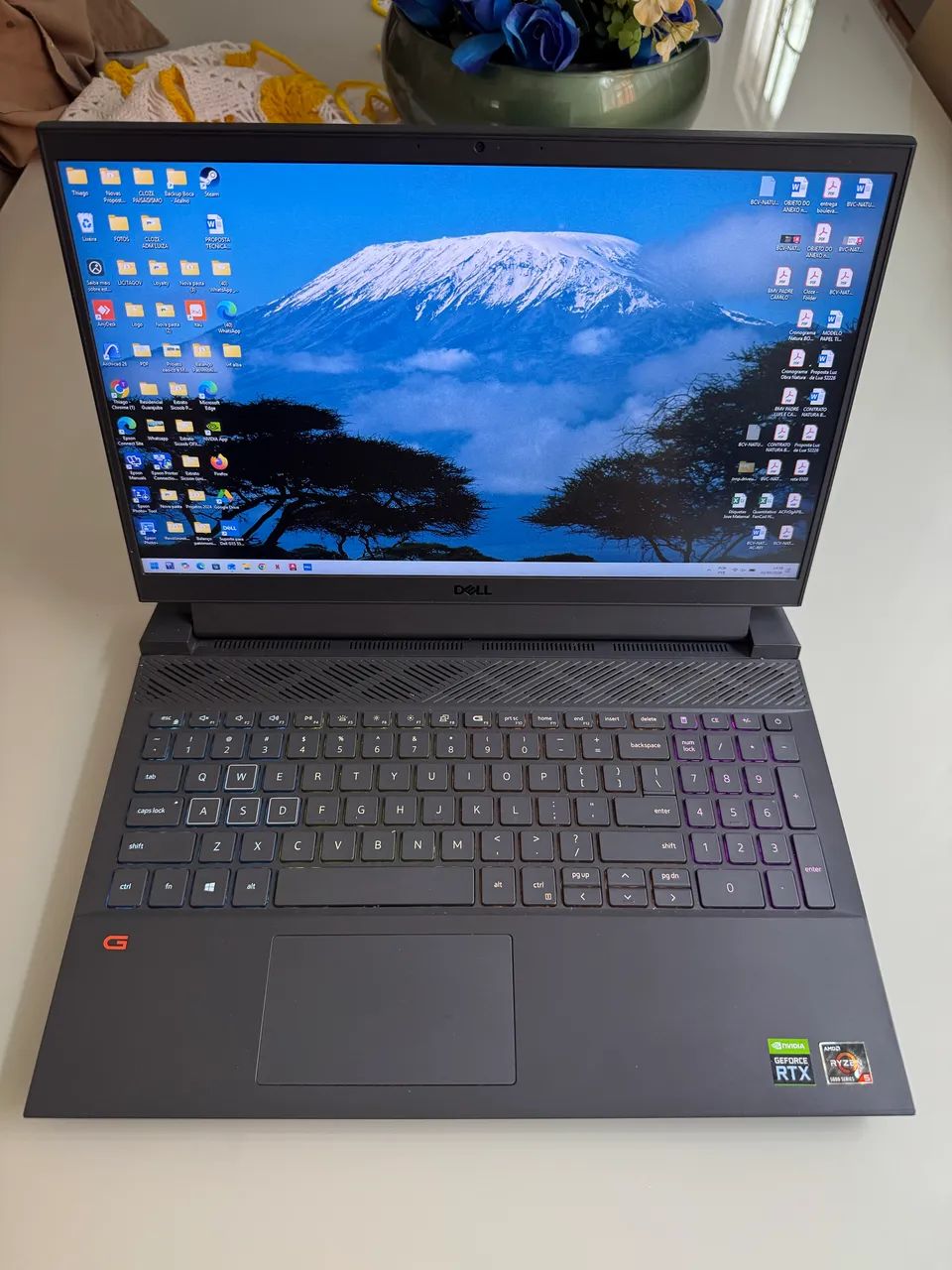Dell G15 5515 Ryzen Edition