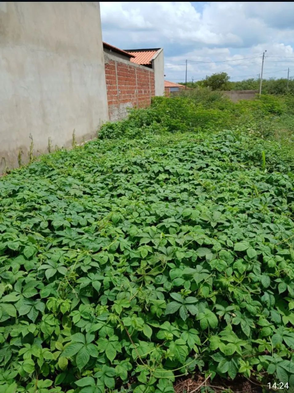 Terreno 10x20 nova Valença, ao lado da ABB - Foto 2