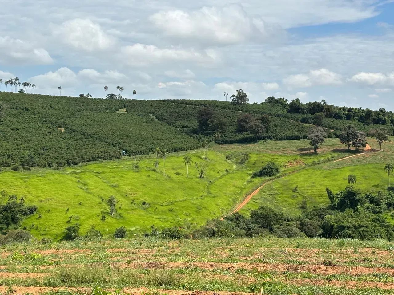 Fazenda Elói Mendes  MG - Foto 3