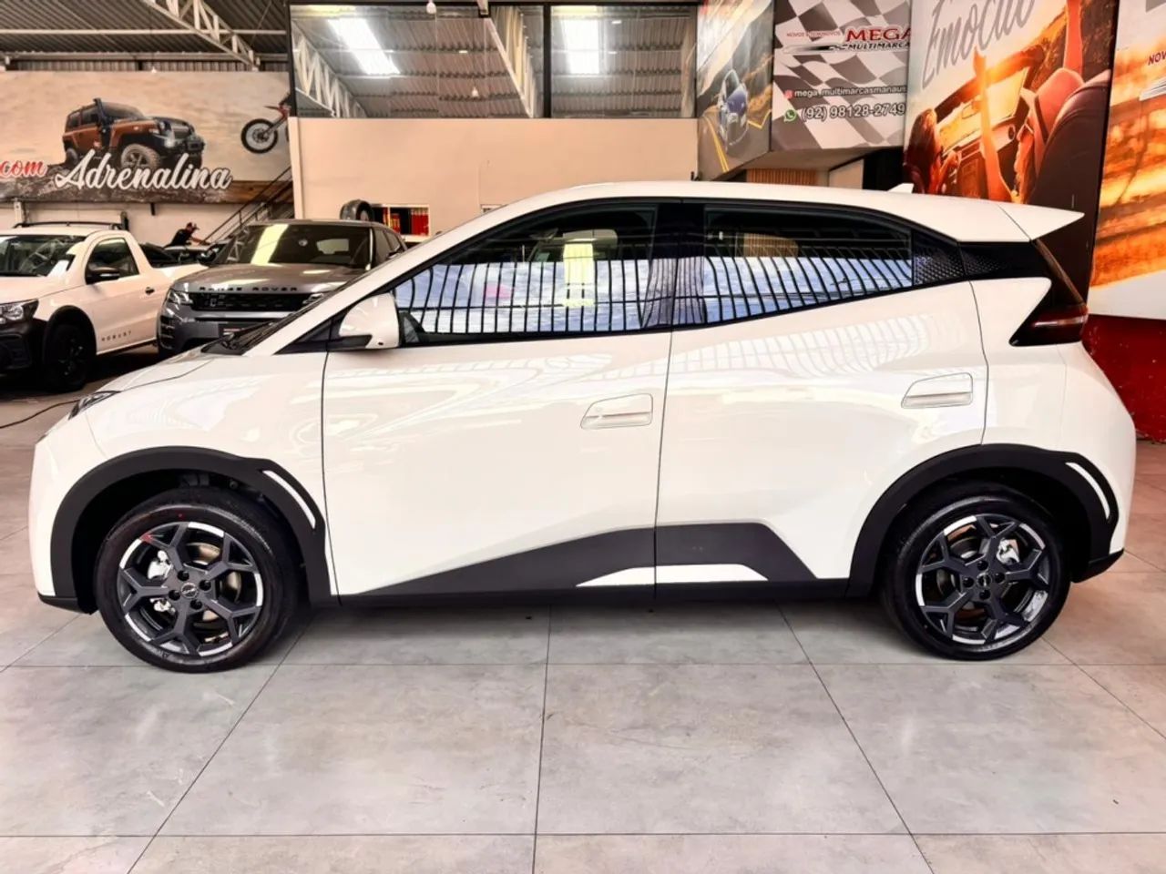 BYD Dolphin EV (Elétrico) 2027 - Foto 4