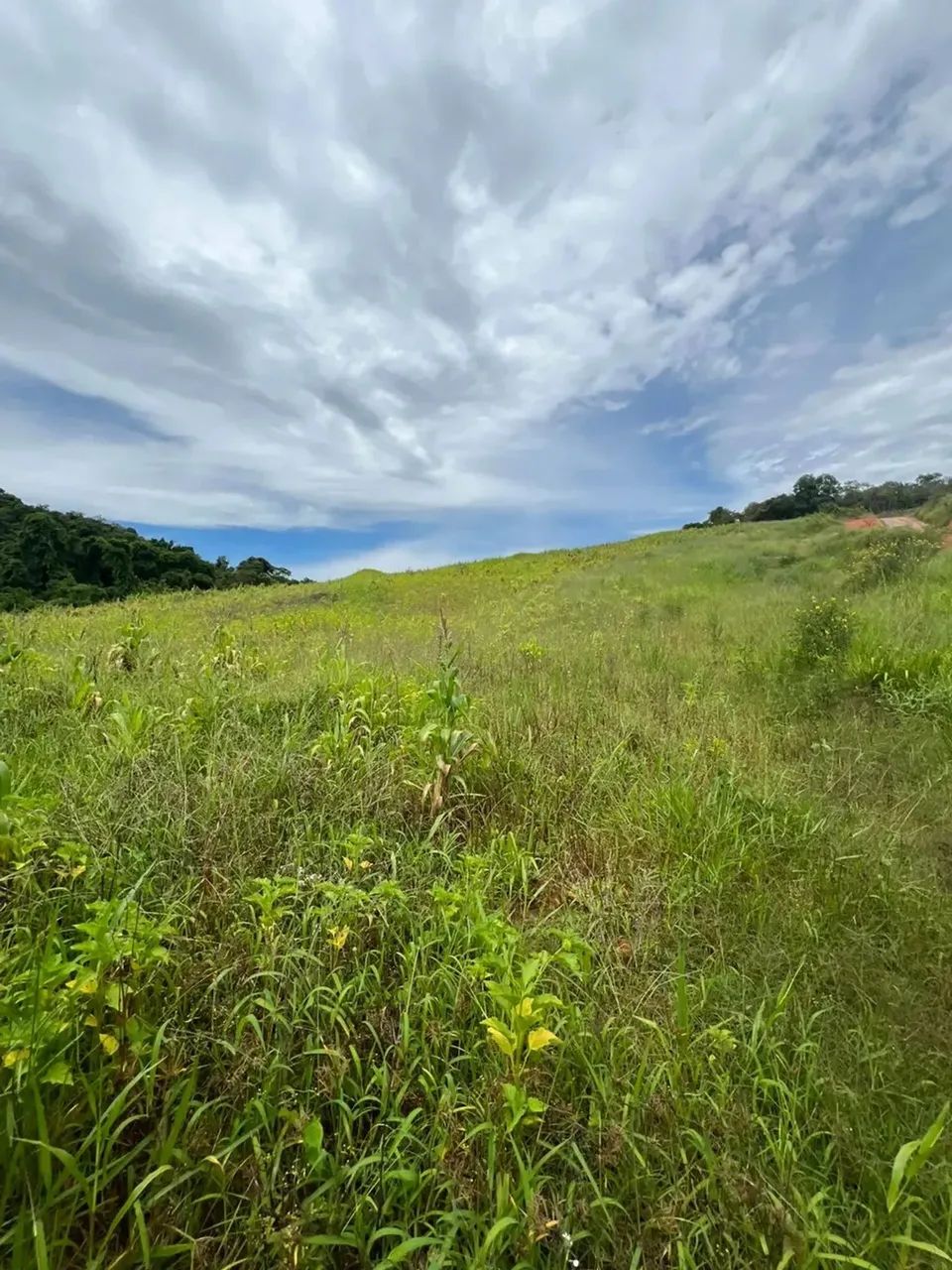 Terrenos para investidor no interior de SP - Foto 6