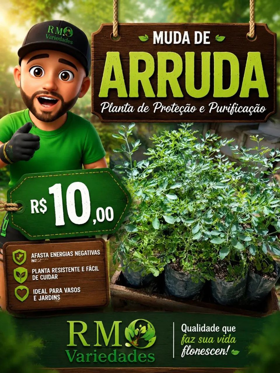 Arruda mudas - Foto 3