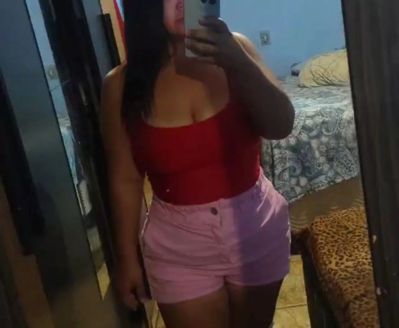 Diarista