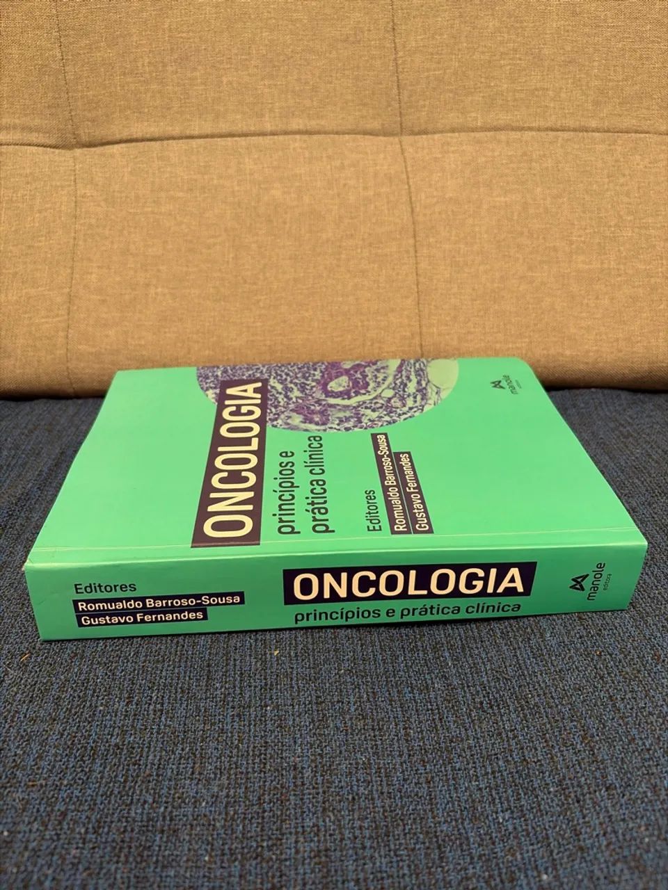 Oncologia: princípios e pratica clínica - Foto 2