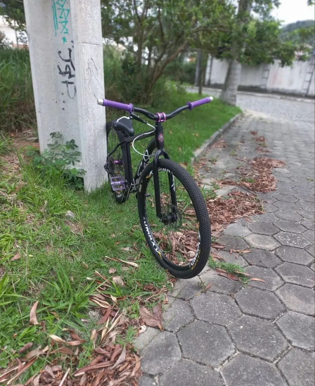 Bicicleta de grau VENDO PEÇA SEPARADA! - Foto 4