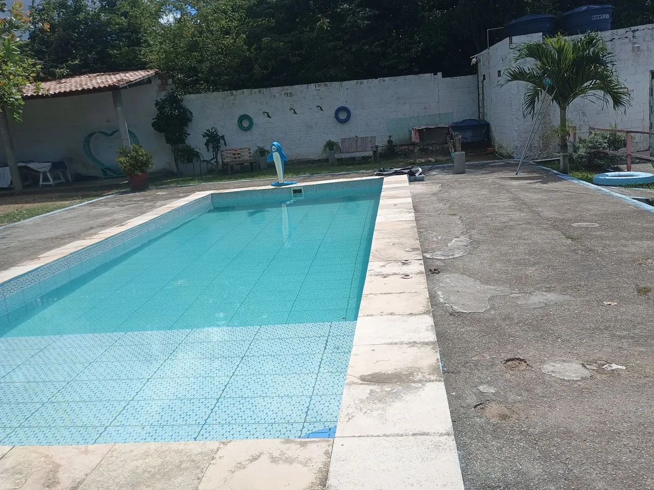 Sítio com espaço amplo pra família  - Foto 5