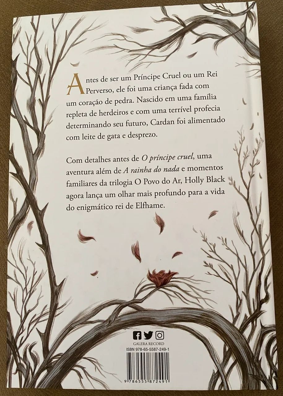 O povo do ar - Foto 5