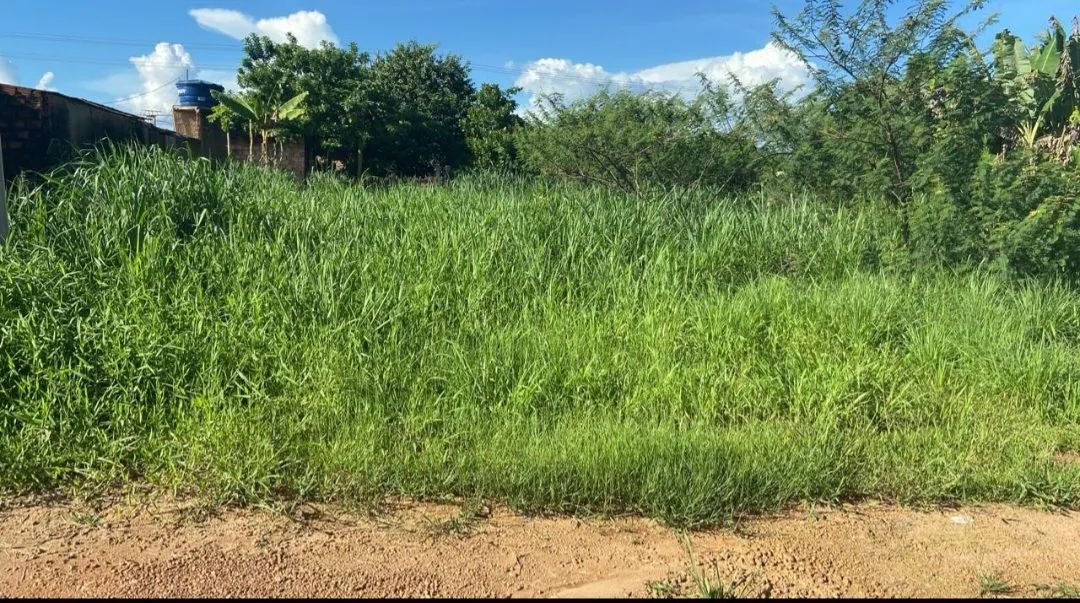 Foto - Porto Velho - Nova Esperança