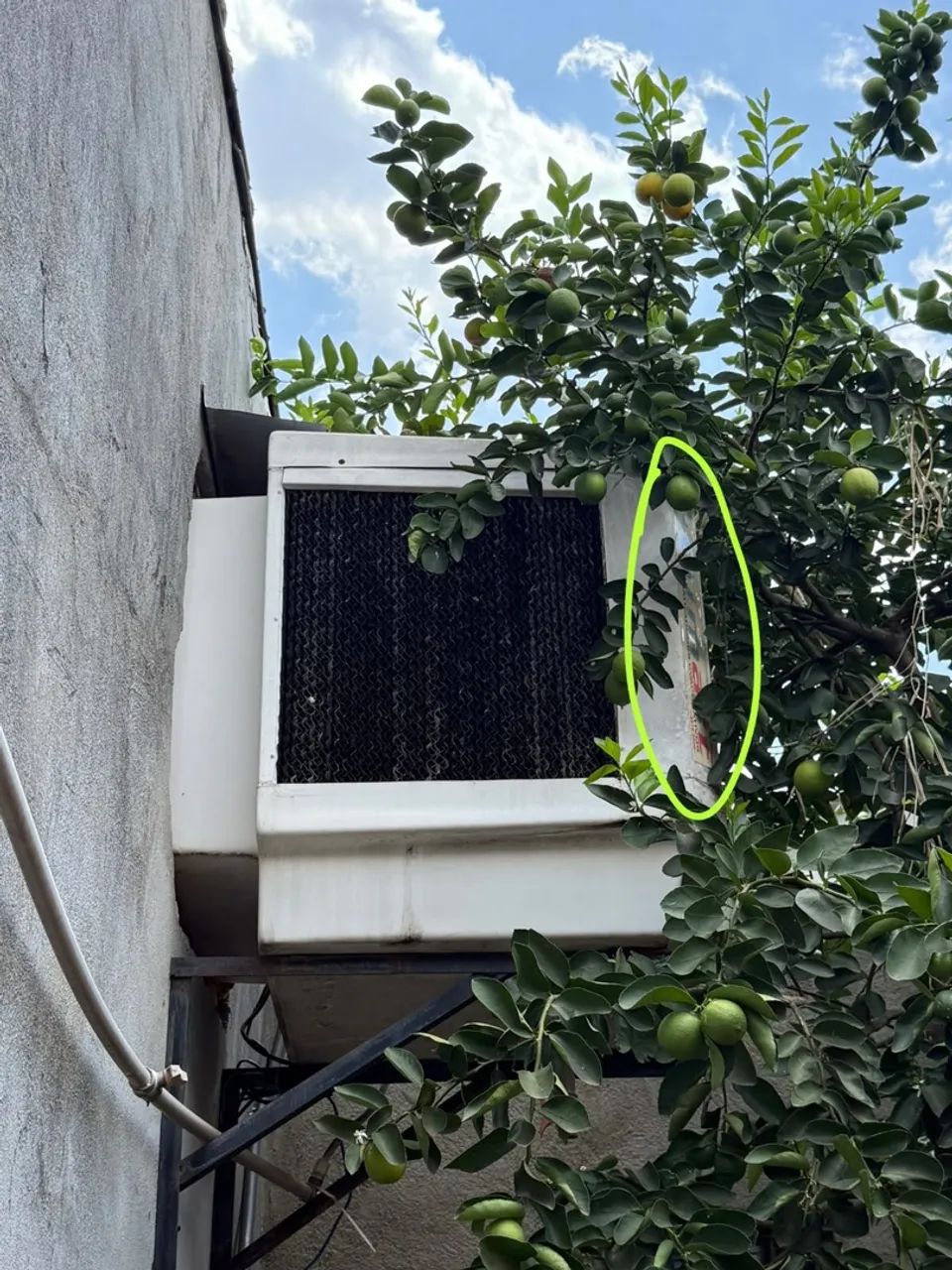 Climatizador industrial  - Foto 3