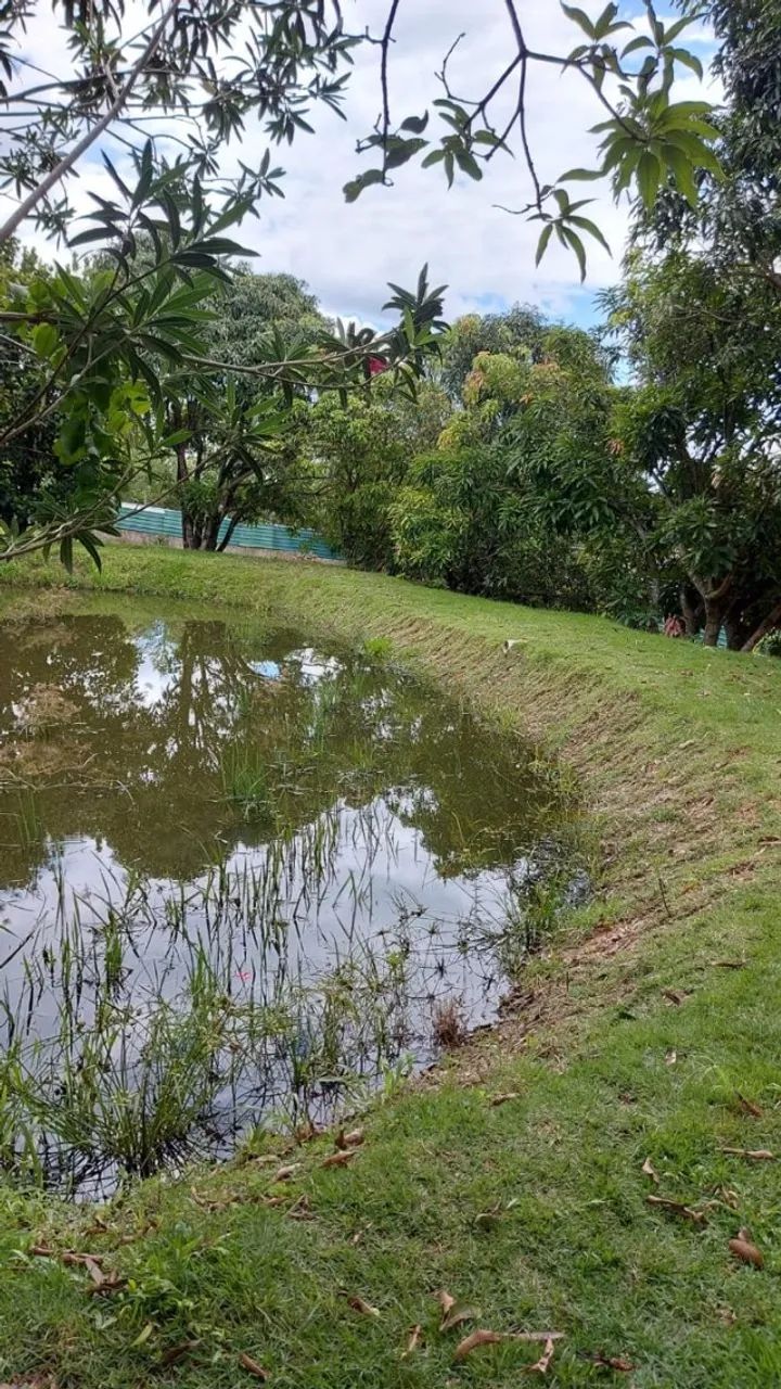 Vende-se chácara com:   5000 mts  quadrados, aceito proposta... - Foto 2