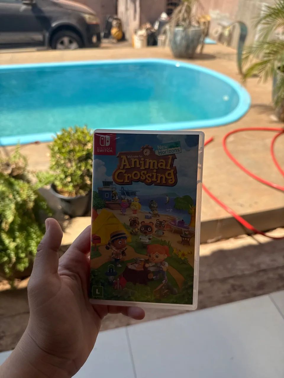 Animal crossing 