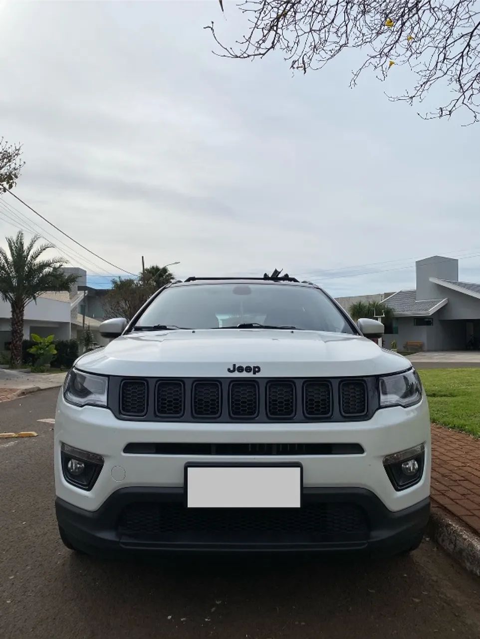 Jeep Compass Night Eagle 2.0 4X2 Flex 16V AUT 2018