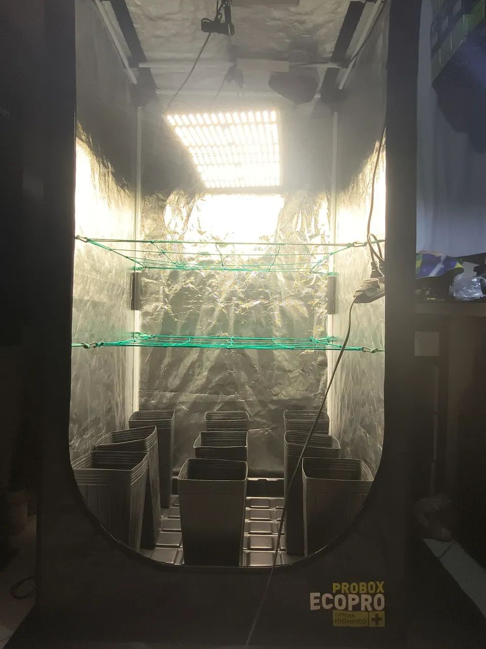Estufa grow cultivo indoor 