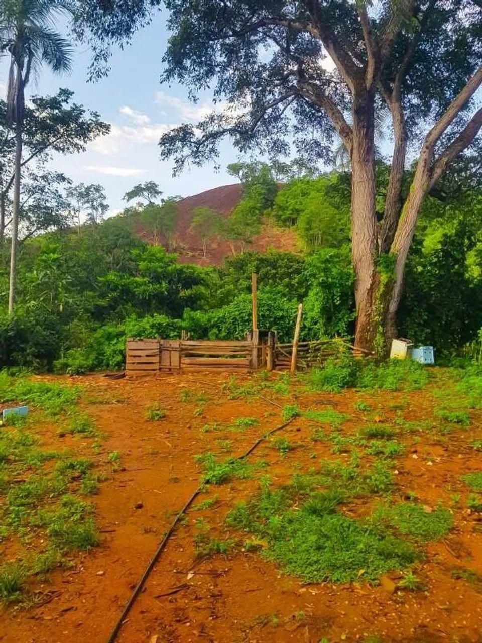 Imóvel rural, 110 m² no Zona Rural em Jaú do Tocantins - Foto 3
