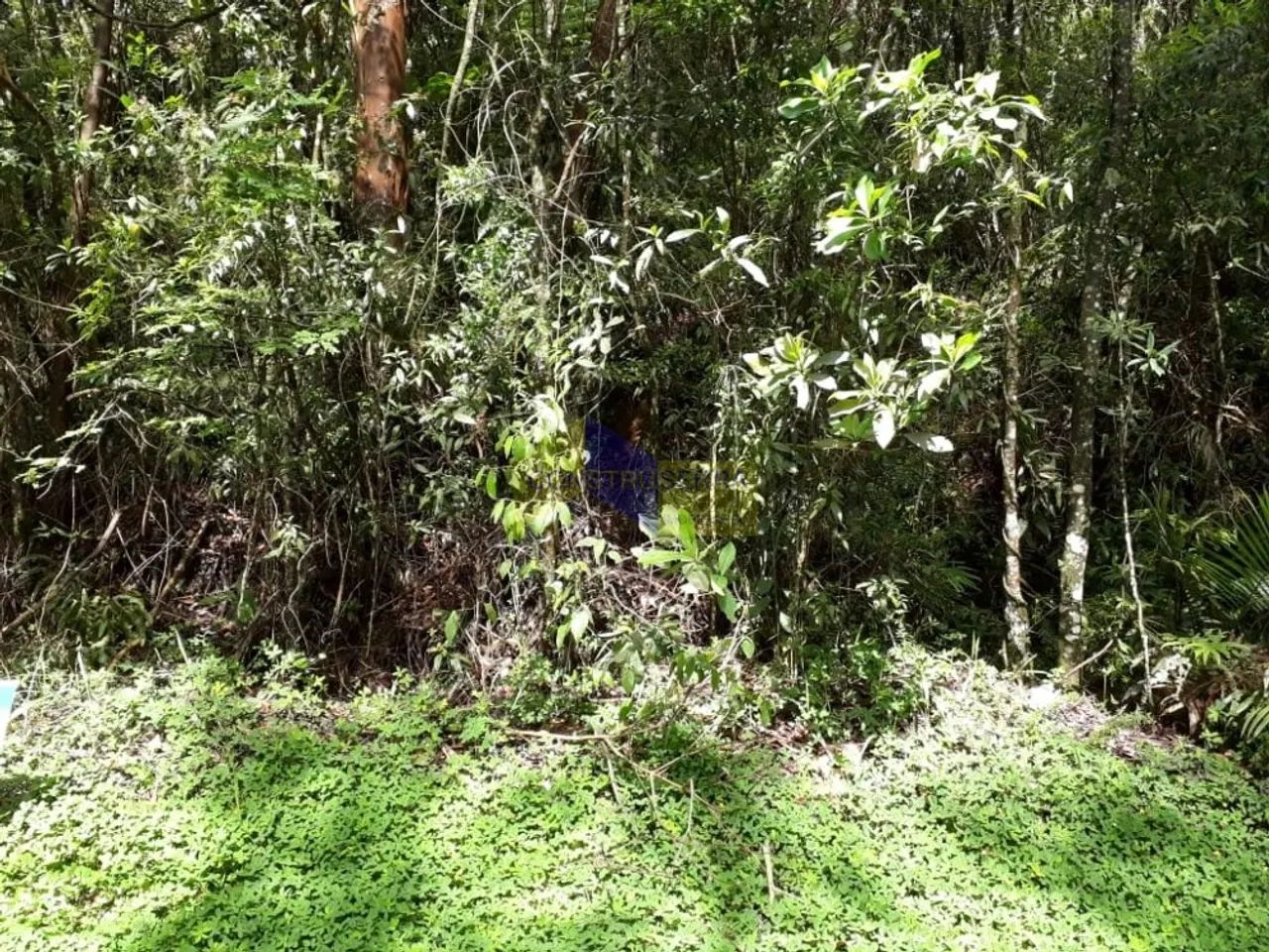 Lote em Condomínio para comprar Sausalito Mairiporã - Foto 3