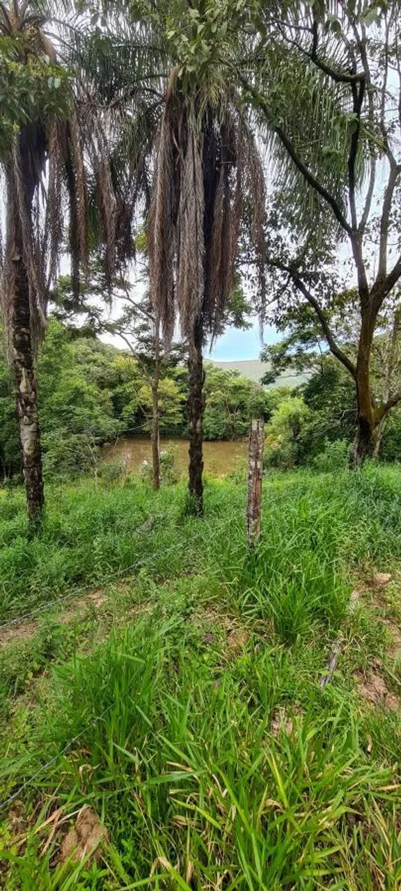 Sítio para Venda em Mateus Leme, Anchieta, 1 dormitório, 1 banheiro, 6 vagas - Foto 3