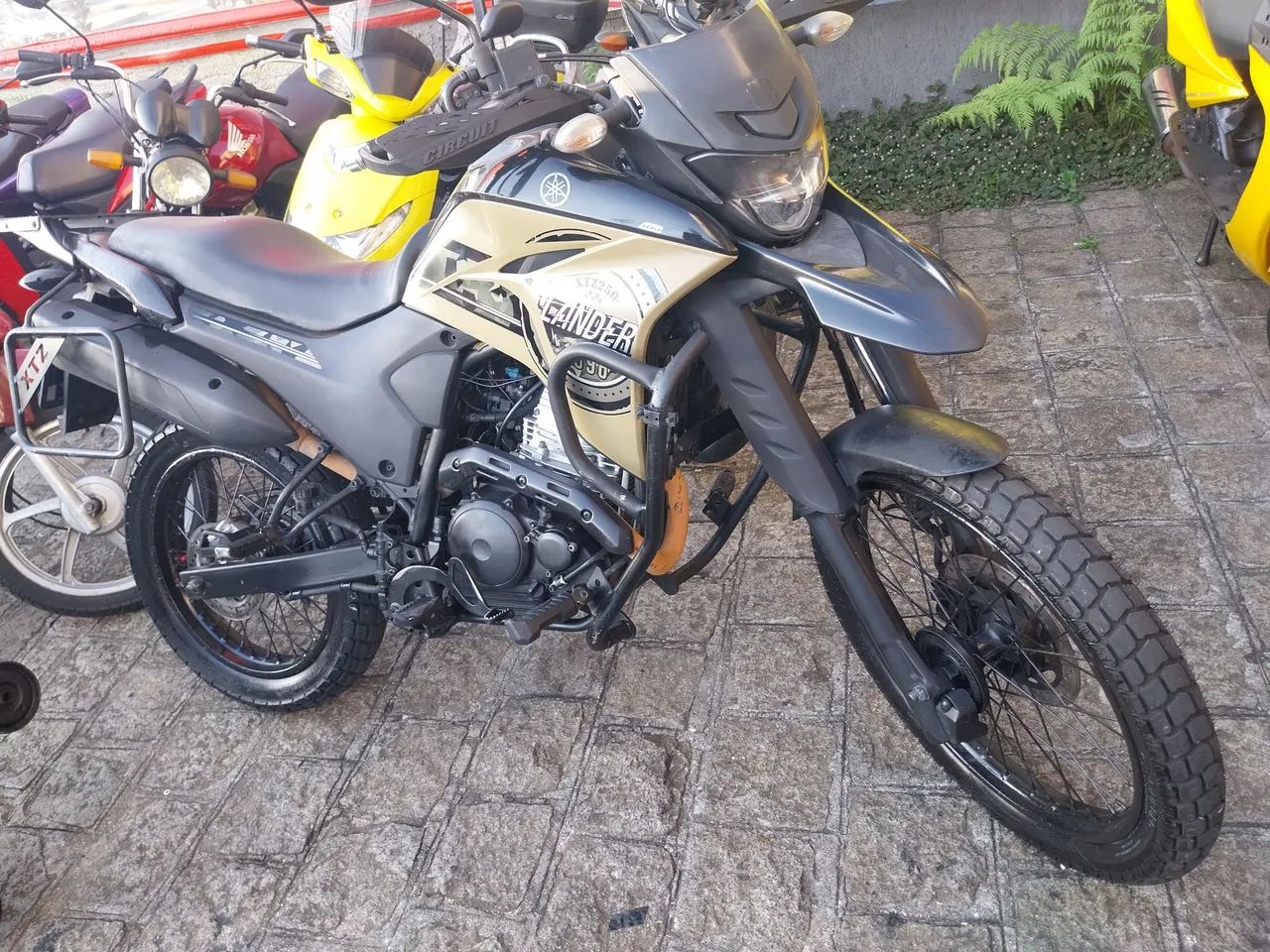 Lander 250 2021 - Foto 2