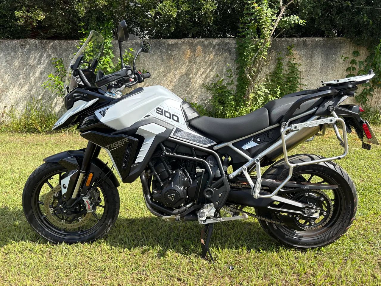 Tiger 900 GT - 2025