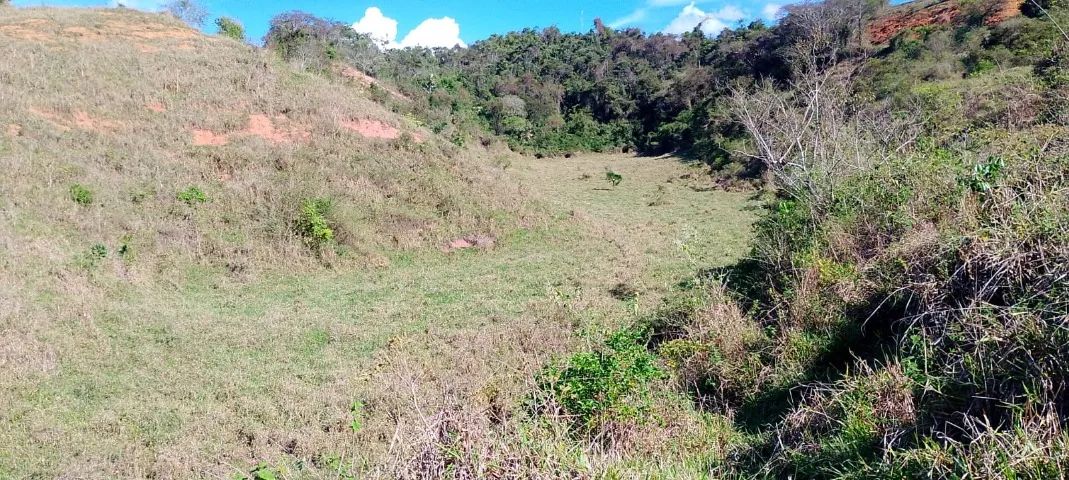 Terreno 07 hectares - Abre Campo, MG - Foto 3