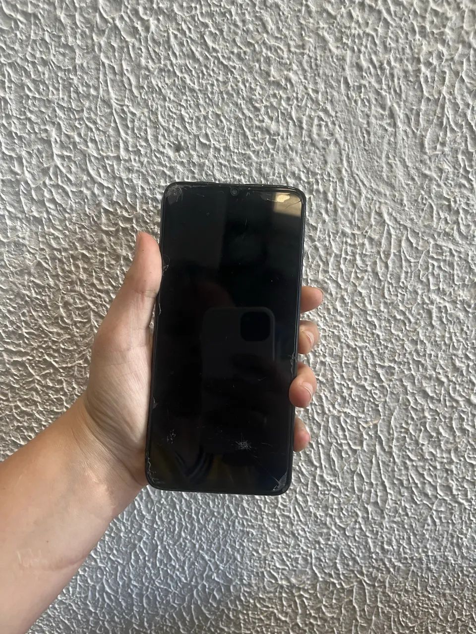CONCERTO CELULAR