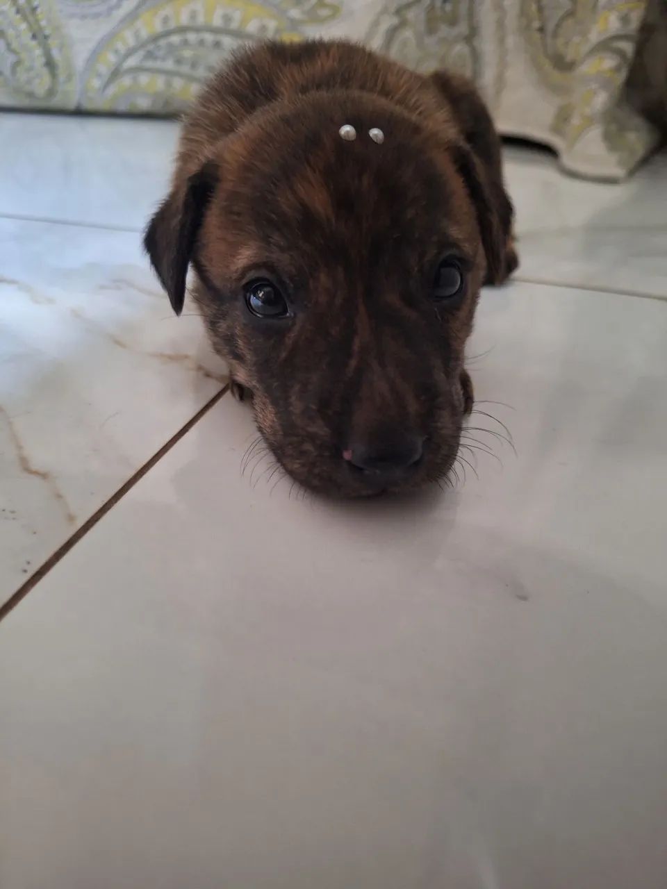 DOAÇÃO  - Foto 3