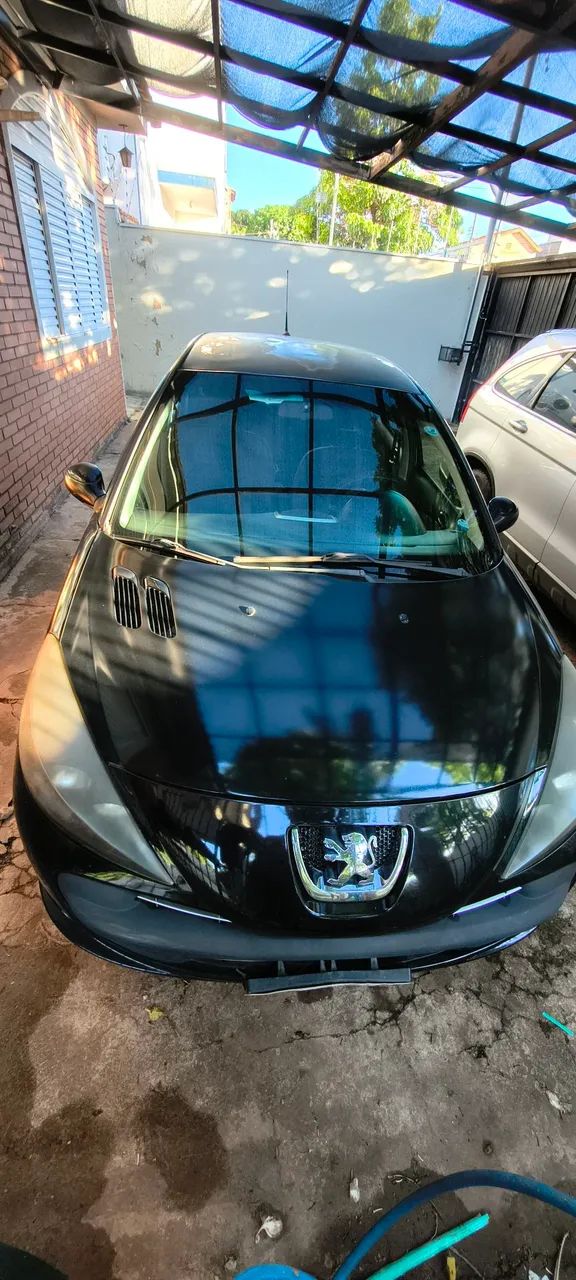 Peugeot 207 207 XS 1.6 FLEX 16V 5P 2009