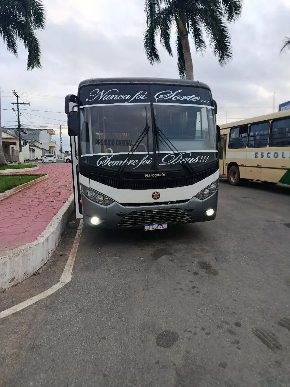 Ônibus sênior midi