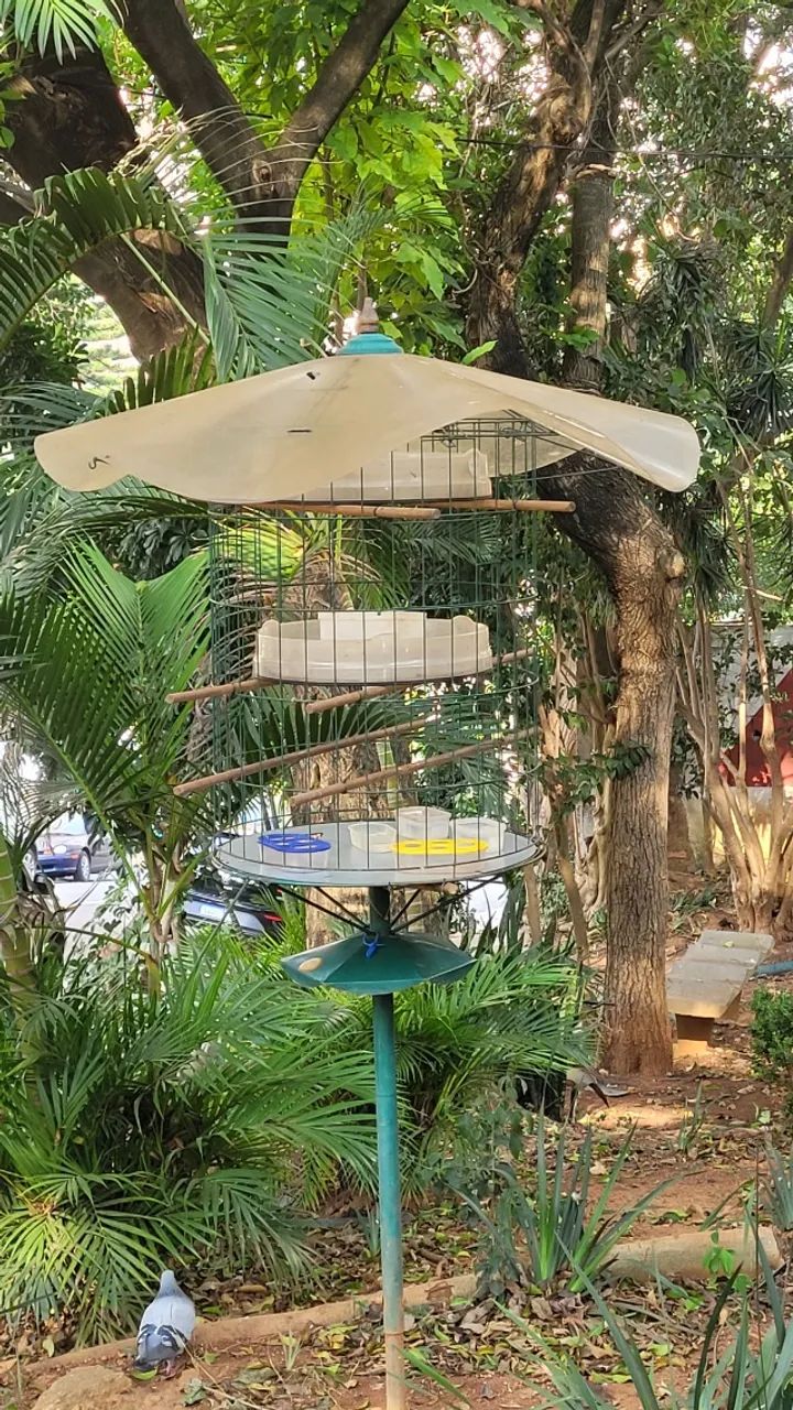 Vendo comedouro para pássaros  - Foto 3