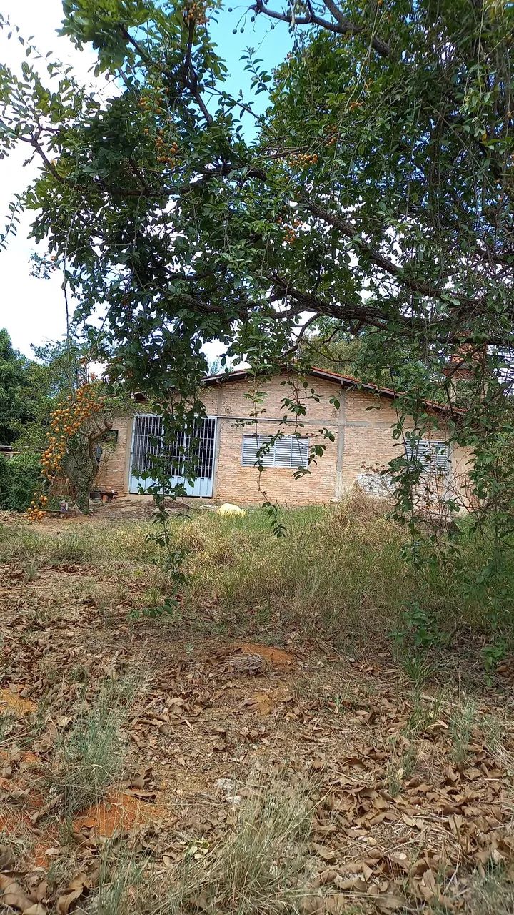 Foto - Brasília - Asa Sul