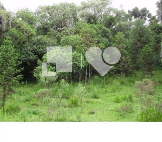 Terreno - Foto 2