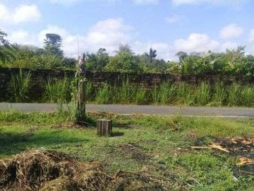 Barbada!!! Vendemos com exclusividade um Sítio/Terreno com 10,6 hectares - Foto 16