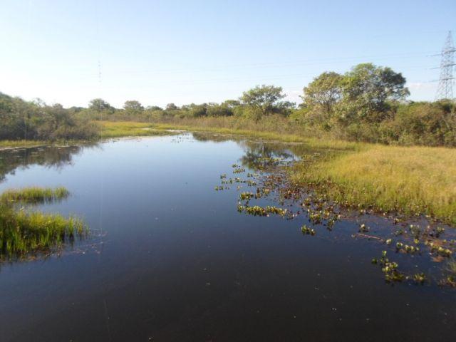 Fazenda na estrada parque de corumba ms - Foto 9