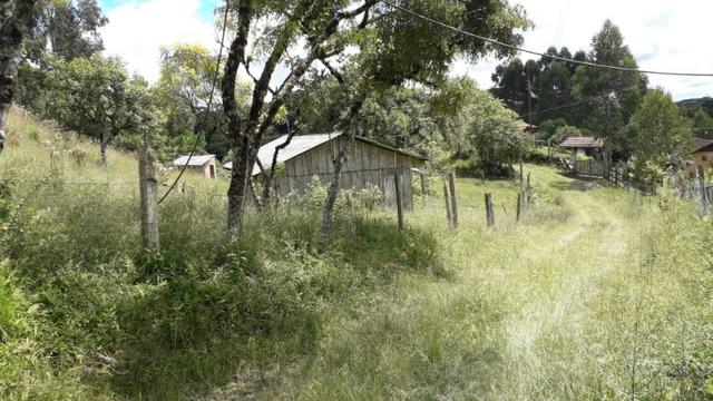 Perto de tudo - Foto 6