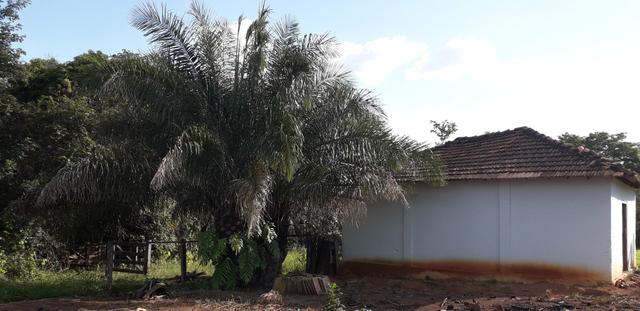 Chácara à venda de 1 alqueires e meio no município de Firminópolis - Foto 12