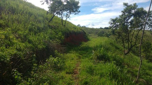 Excelente Fazendinha para criação - Foto 9
