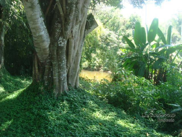 Terreno à venda, 399 m² por r$ 93.000,00 - nucleo do rio pinto - morretes/pr - Foto 15