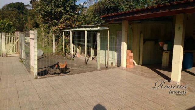 Linda chácara medindo 3.812 m² localizada no anhaia - Foto 5