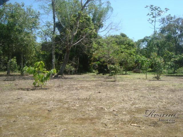 Òtimos terrenos para investimento em morretes - Foto 18