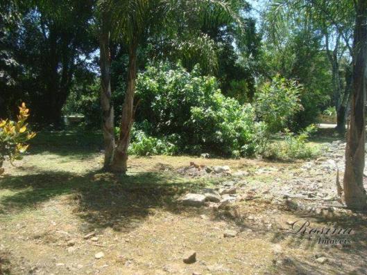 Terreno à venda, 399 m² por r$ 93.000,00 - nucleo do rio pinto - morretes/pr - Foto 10