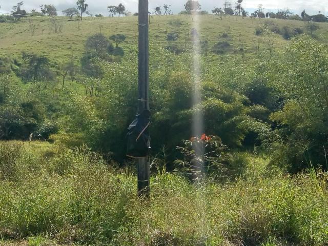 Sítio em Saire PÉ com 05 hectares - Foto 9